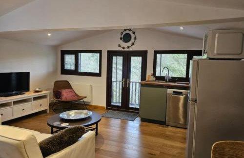 Treetops Lodge, private Cornish hideaway, parking, garden - Foto 33