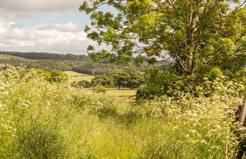 Swallows’ Barn - Photo 10