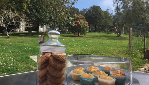 A Casa de Lelo - Foto 3