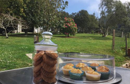 A Casa de Lelo - Foto 3