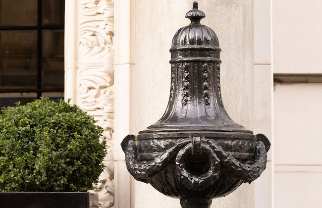 Native Glasgow - Photo 72