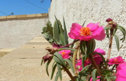 The White Rocks - Foto 38