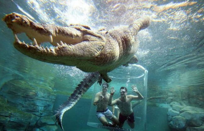 Fred s at Fannie Bay - NT - Foto 30