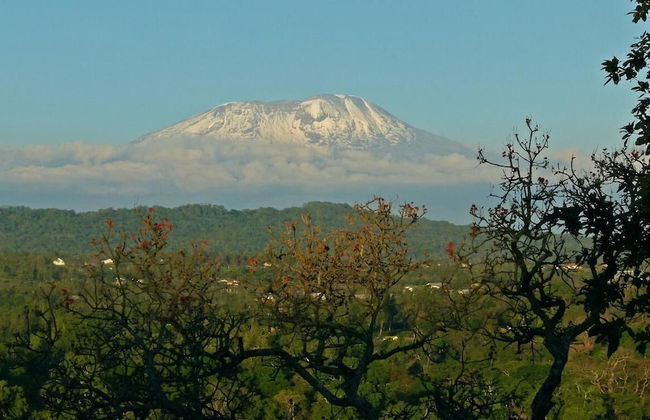 Milimani Cottages - Foto 13