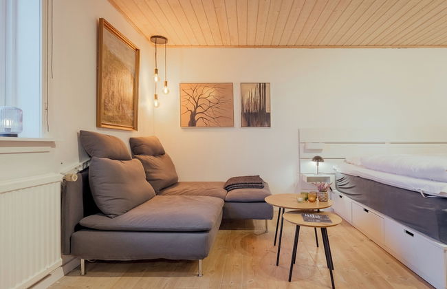 Studio Apartment| 20Min From City Center| Tórshavn - Photo 10
