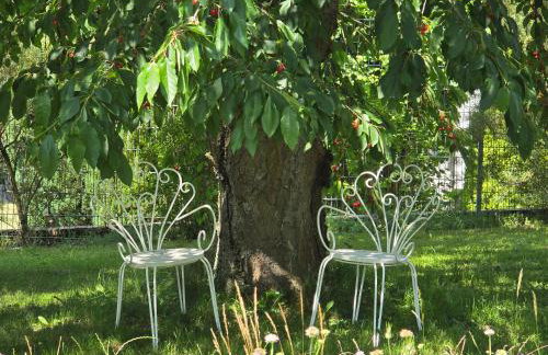 Exklusive Ferienwohnung Bad Salzschlirf - direkt am Waldrand - großer Garten kompett umzäunt - Hunde willkommen - 2 private Stellplätze - Foto 48
