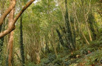 Sweet Lil Casita Puget Sound Hideaway - Photo 9