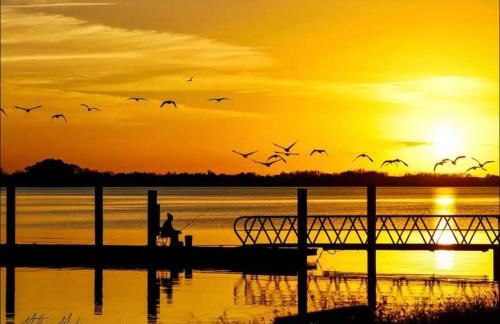 The Art House unique Mount Dora Getaway - Photo 29