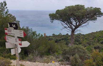 Alis home 100 mt dal mare - Foto 21