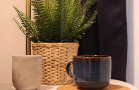 CAMBARAL AS DE GUIA - Foto 7