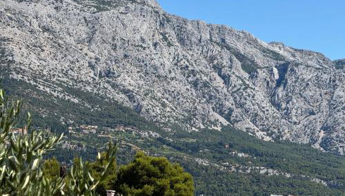 Villa Oliva Korcula - Foto 5