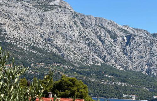 Villa Oliva Korcula - Photo 5