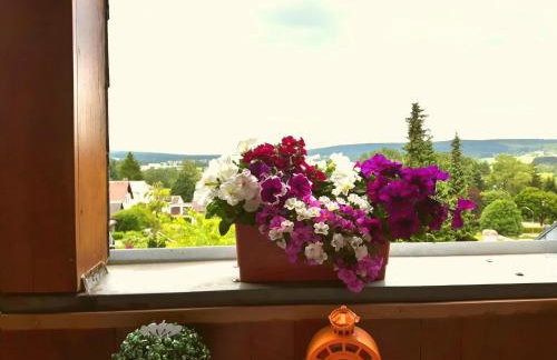 Ferienwohnung Schwalbennest - Foto 26