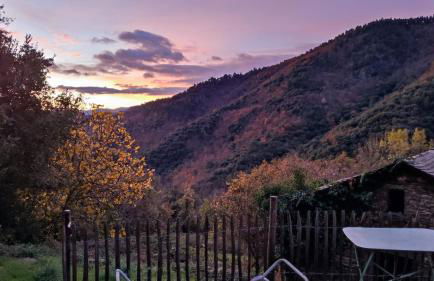 Gîte de la Salamandre - Foto 3