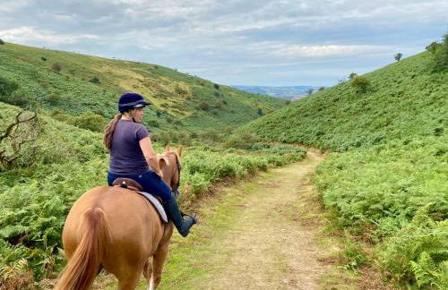 Pardlestone Farm – Self-Catering Cottages - Foto 62