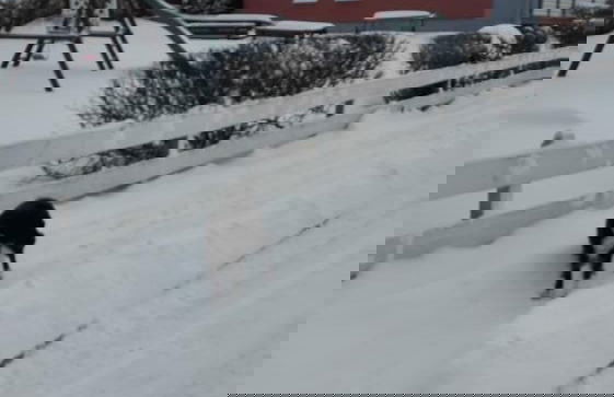 Haus Wiesengrund - Foto 13