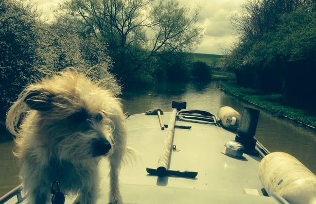 Boutique Bijoux Garden Flat in Vibrant Oval - Foto 30