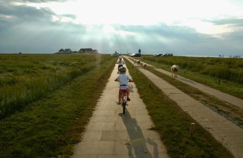 NORDSEE Bauernhof Familie Wulff FeWo "Südfall" - Foto 28