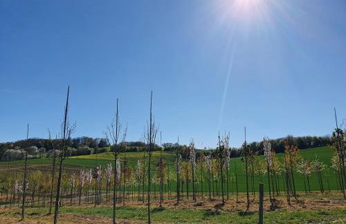 Ferienwohnung im Siebengebirge nähe Köln/Bonn - Foto 3
