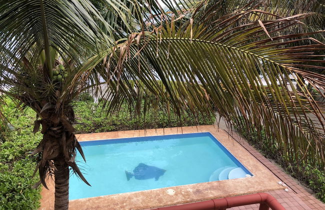 Casa Coco Mani by SkyRun - Foto 13