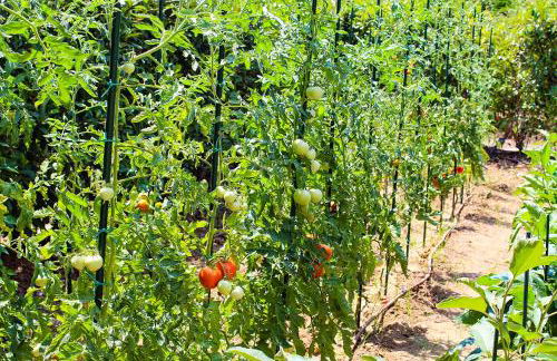 Azalea Villa Sani with Outdoor Hot Tub, Sani Luxury Villas Collection - Foto 31