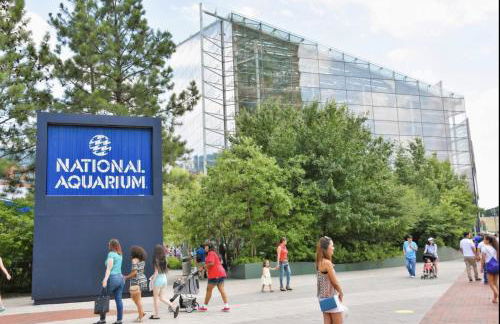 Modern Home 2BR 2BA Free Off-Street Parking & Wifi - Foto 24