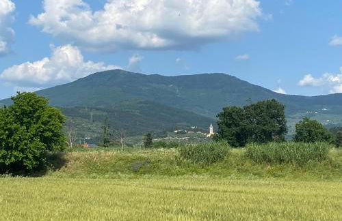 Accanto a Firenze - Foto 40