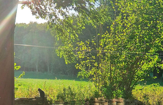 5 Person Holiday Home in Hallekis - Photo 30