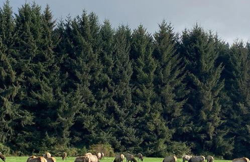 Trinidad Artist and Healing Retreat with Hot Tub - Foto 38