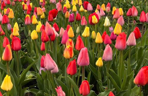 Küsten Auszeit - Foto 26