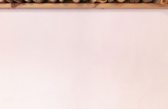 Casas de Campo do Castro da Cola - Foto 26