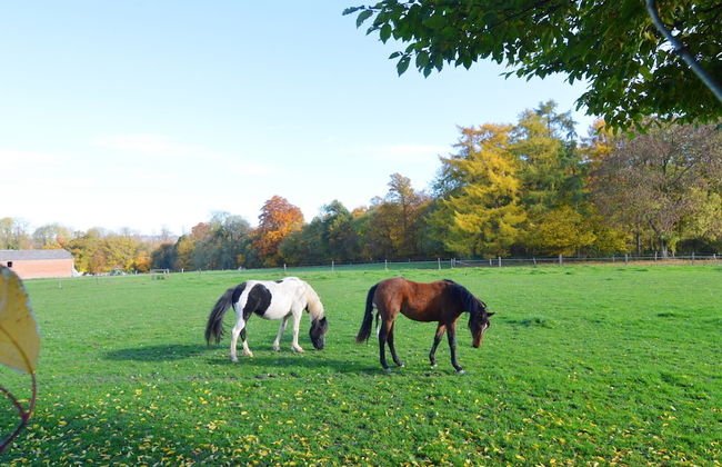 Spacious Holiday Home With Private Garden - Foto 39