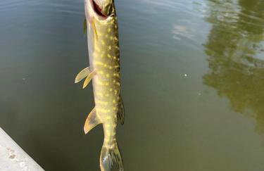 Haus 'am Selliner See-wismar' - Foto 20