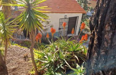 El Mirador - Foto 65