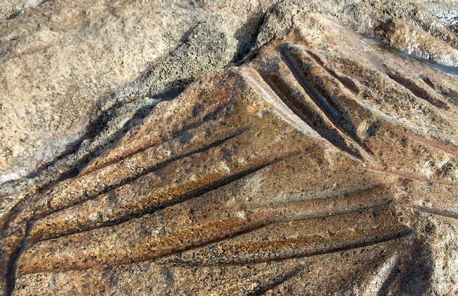 Randonnée le long de la plage de Vila - Photo 6