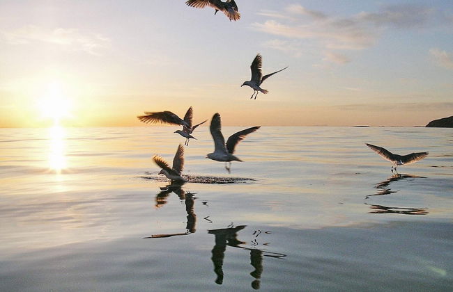 6 Person Holiday Home in Bindalseidet - Foto 26