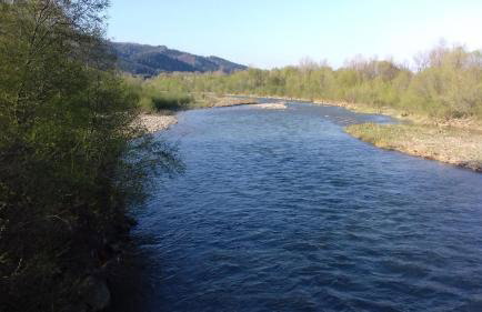 Apartamenty Ancymon - Foto 11