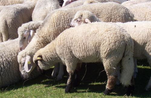 Apartment Vier Jahreszeiten Pilsum - Foto 31