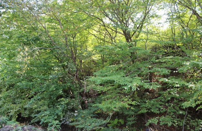 Guba Panoramic Villa - Foto 53