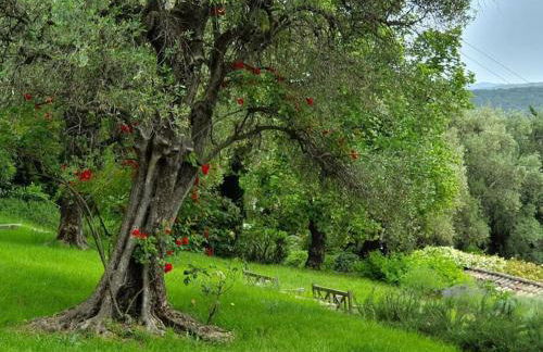 Pool House Renoir with heated pool and private garden - Foto 38