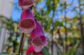 Varigotti Tropical Garden - full floor apartment - Photo 58