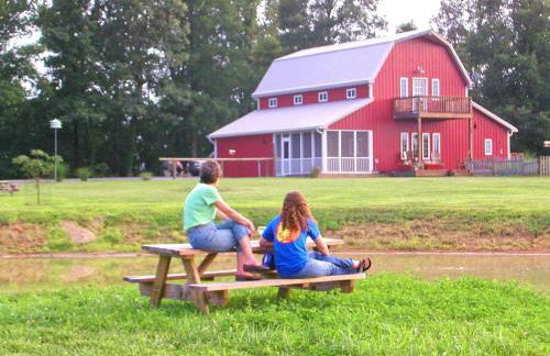Beautifully Furnished Barn Getaway Located on a Sustainable Living Farm near Metropolis, Illinois - Photo 13
