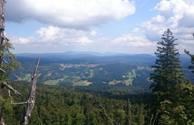 Mitterdorf Modern Retreat - Foto 17