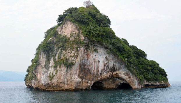 Los Arcos Catamaran Trip - Foto 5