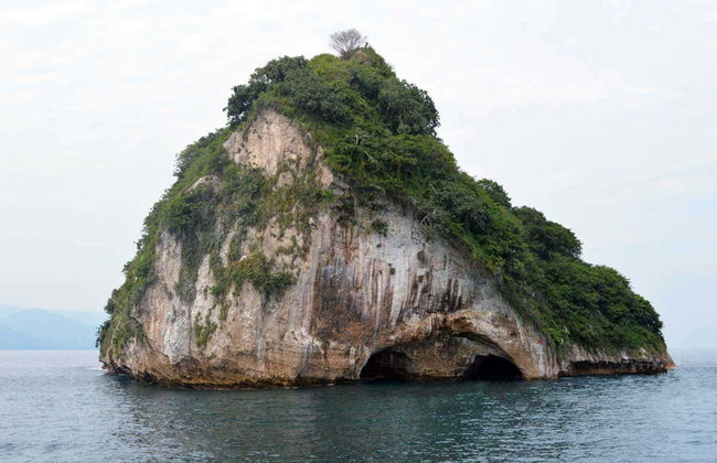 Los Arcos Catamaran Trip - Photo 5