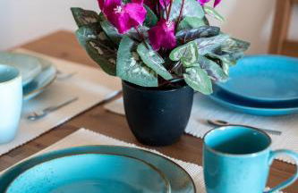 Doppelhaus- Villa Leipzig Schleußig , moderner Altbau Apartment Dachetage mit 2 Schlafzimmern und separatem Zusatzzimmer , Parkplatz - Balkon - Kamin - Eicheparkett - Arbeitsplatz - Foto 14