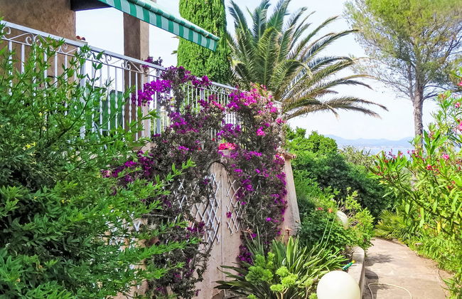 Carpe Diem - Foto 20