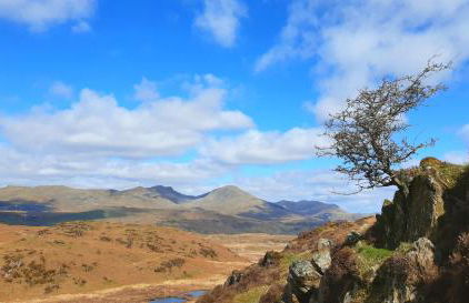 Ling Fell Cottage - Foto 25