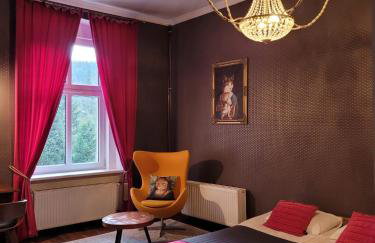 Kot Pocztowy - Foto 6