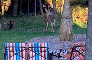 A-Frame Cabin on Lake Michigan - Foto 15